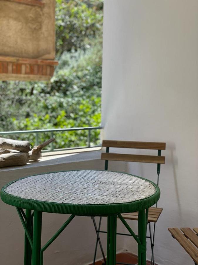 Piso En La Costa Brava Y Al Inicio Del Pirineo Apartment Portbou Exterior photo